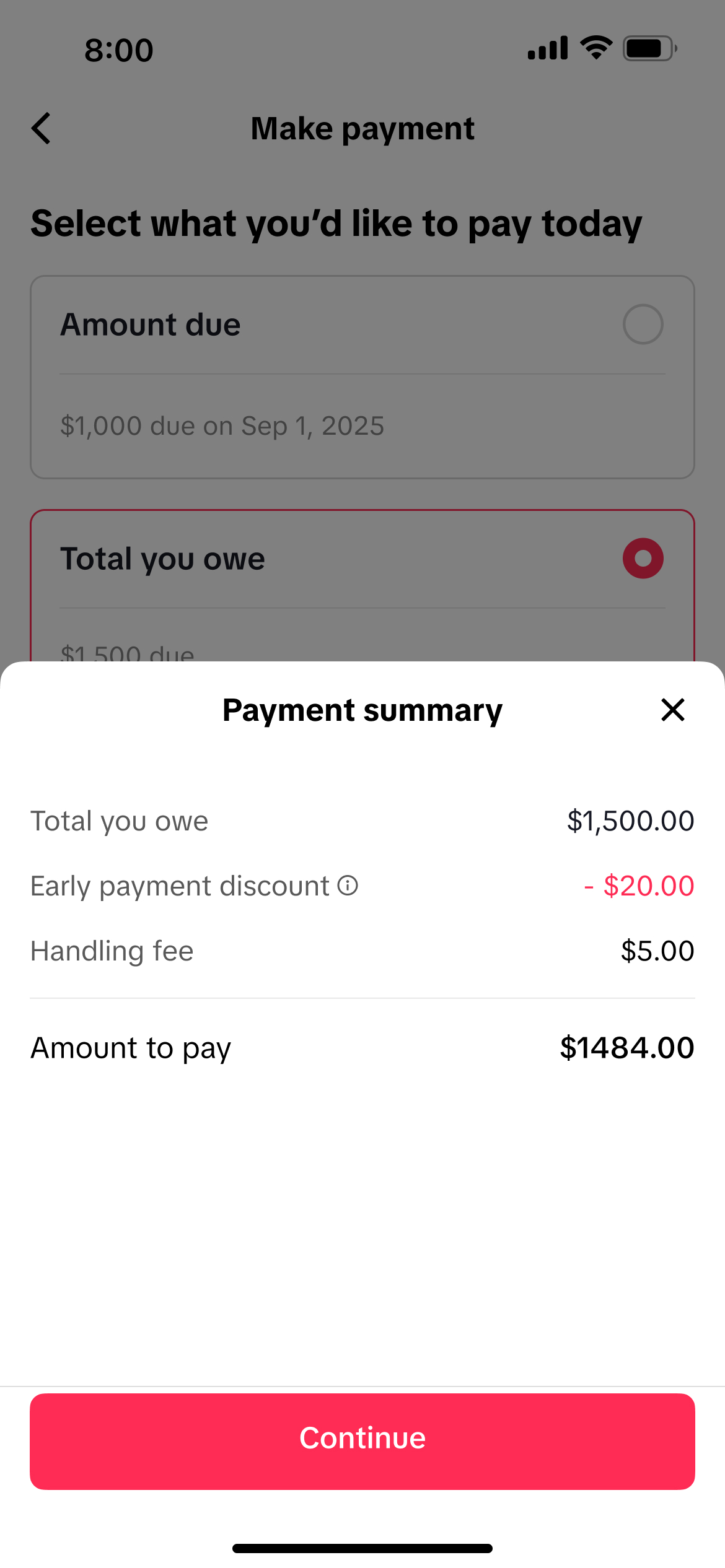 Mexico make payment screen with payment summary