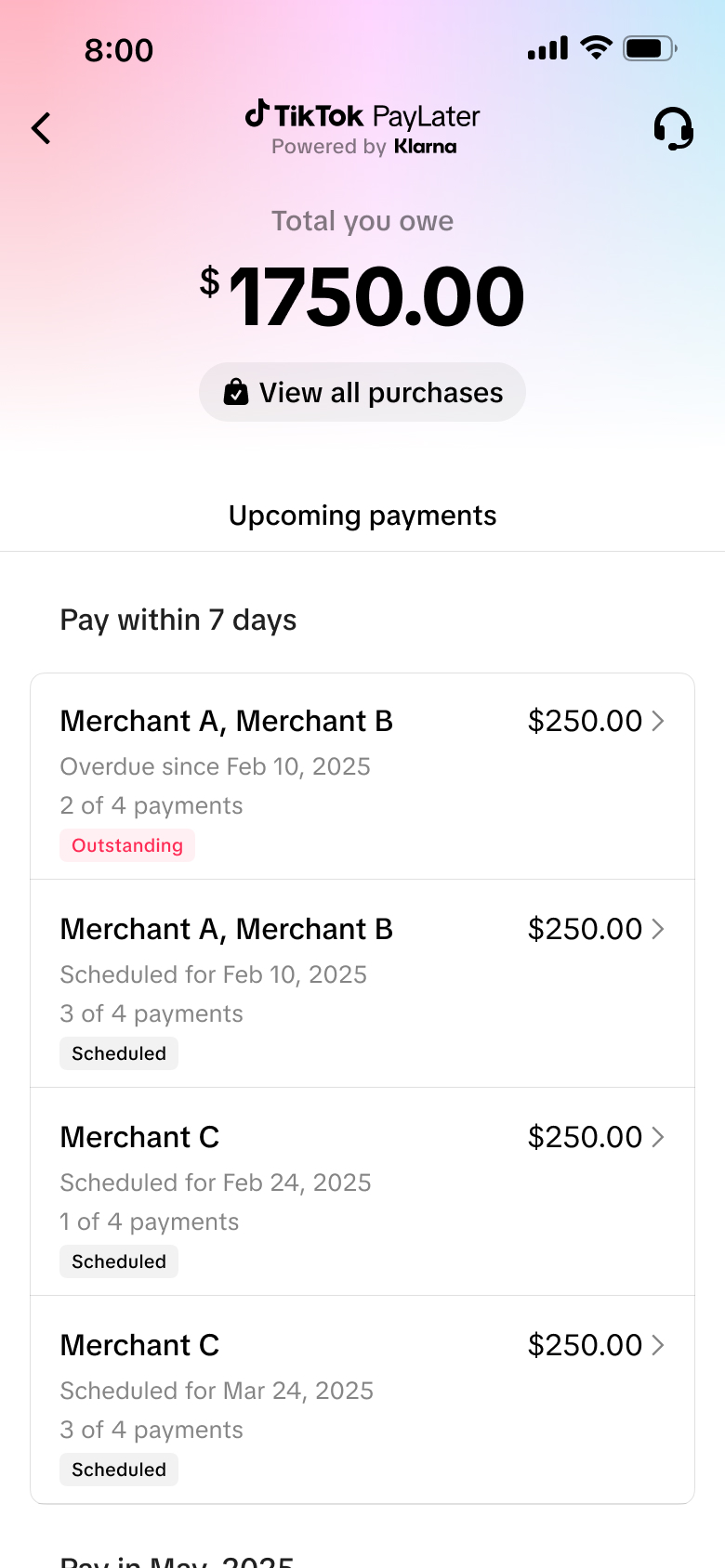 TikTok PayLater US — activation screen